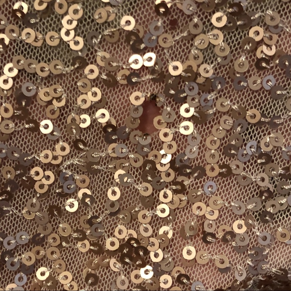 Amsale Rose Gold Formal Sequin Strapless Dress - Picture 12 of 12